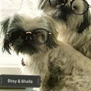 Meet your Posher, Deborah